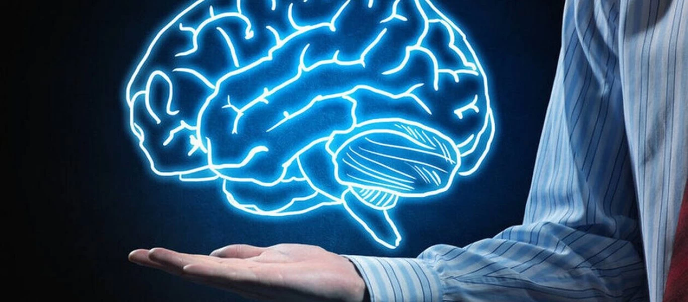 Πώς ο εγκέφαλος επιλέγει που να δώσει προσοχή - Οι δρόμοι του... μυαλού